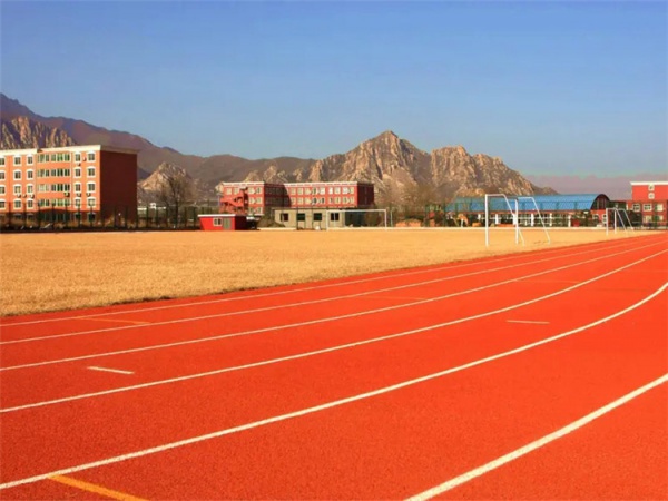 佛山市橡胶颗粒学校塑胶跑道 - 推荐